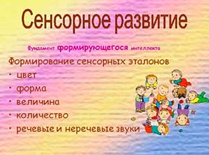 Сенсорное развитие детей раннего и дошкольного возраста